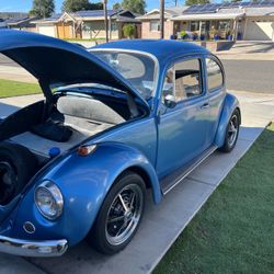 1967 VW Bug