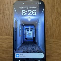 unlocked iphone 15 pro ($500 firm)