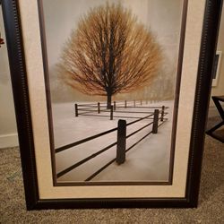 Framed ART 