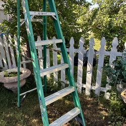 6ft Werner Ladder 