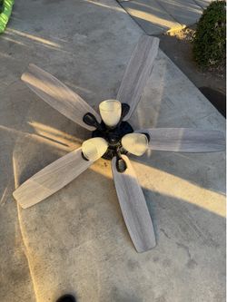 Ceiling fan