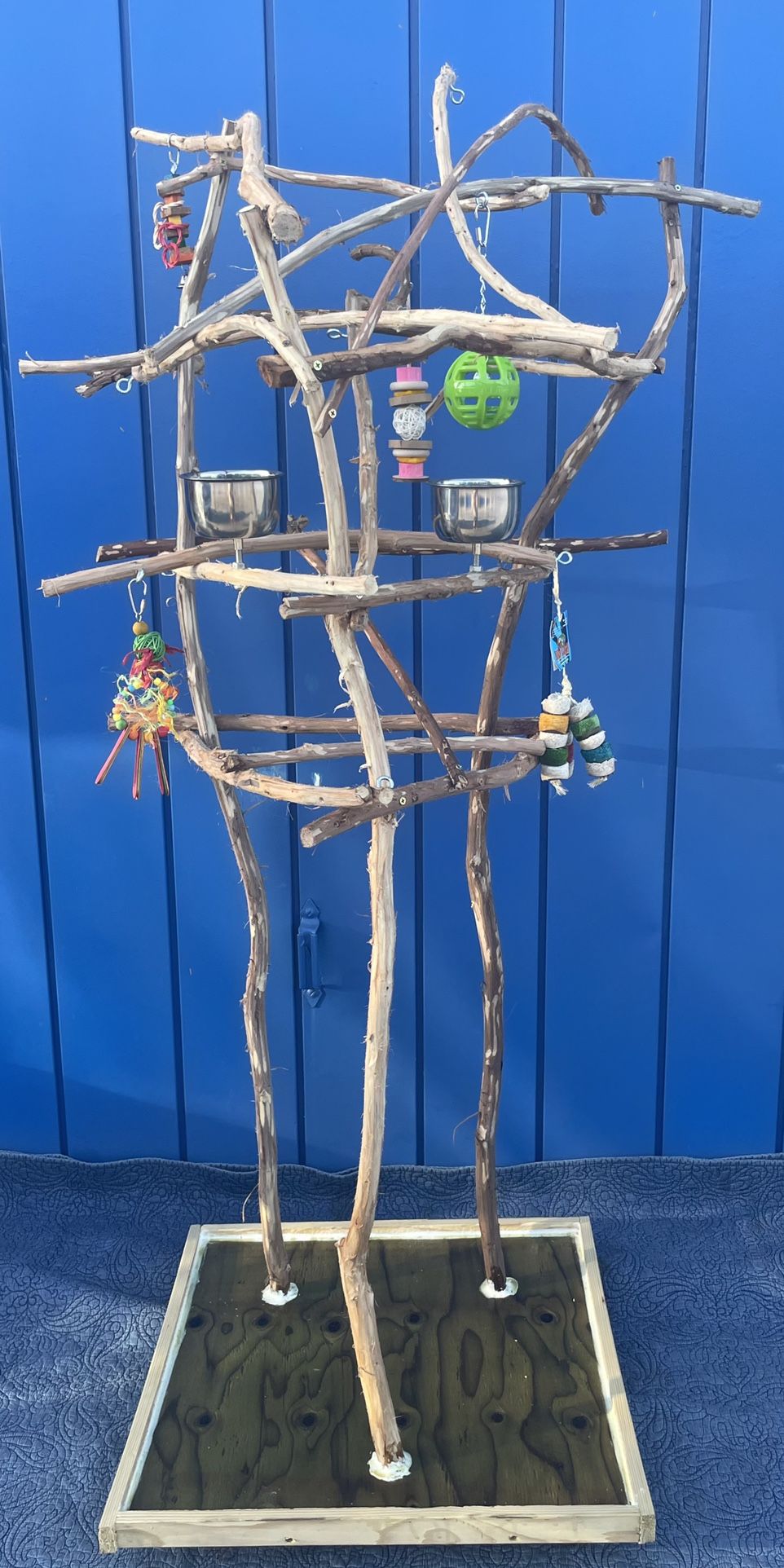 Crazy Small Parrot perch Tree —- The Great Socializer… Cockatiel, Conure Ringneck Etc