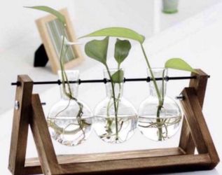   NEW Decor • 3 Bulb Plant 