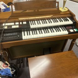 Organ 