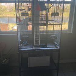 Bird Cage
