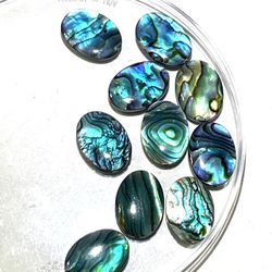Natural Abalone 28mm Beads