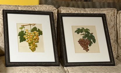 Pair of Still Life Framed Prints
