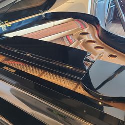 Samick SG-185 6'1" Conservatory Grand Piano – German Renner Action - AE0188 - Original Owner