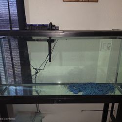 55 Galón Fish Tank