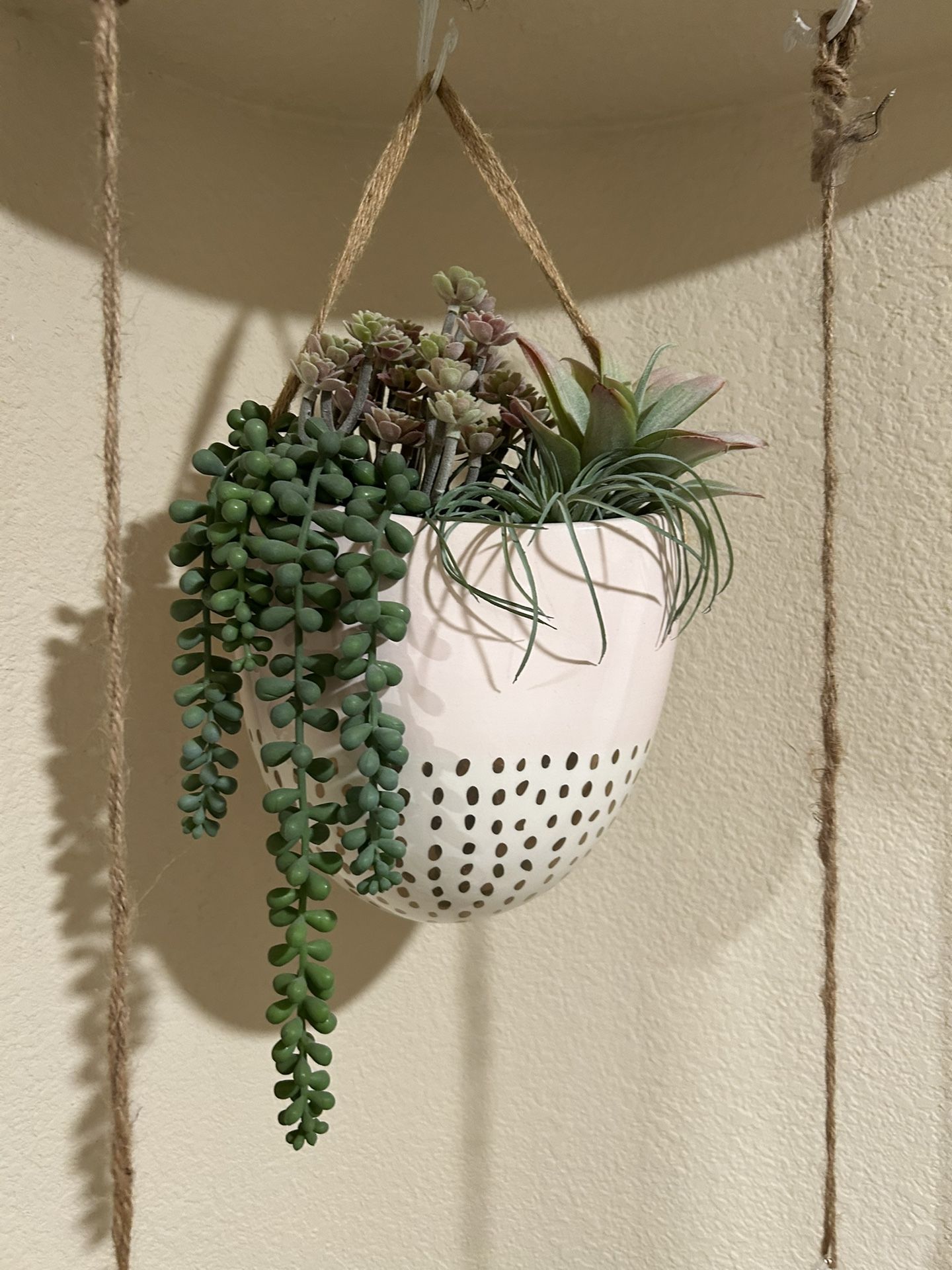 artificial Succulent Plant