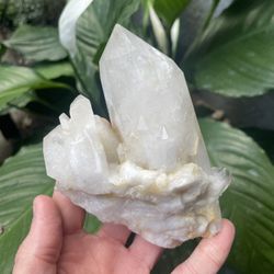 $40 OBO - Quartz Crystal 