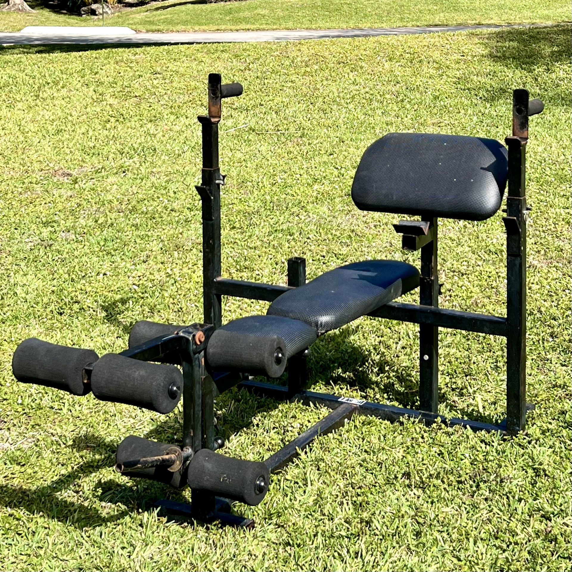 Bio dyne weight bench hotsell