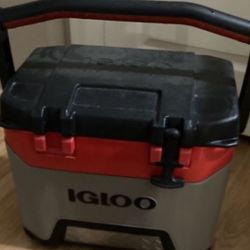 Igloo Hard Cooler