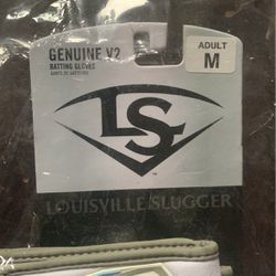 Louisville Slugger V2