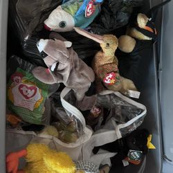 Beanie Babies