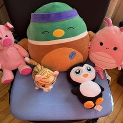 Squishmallows And Stuffed Animals 