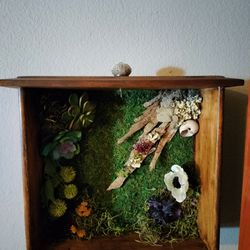 Succulent Drawer Box 