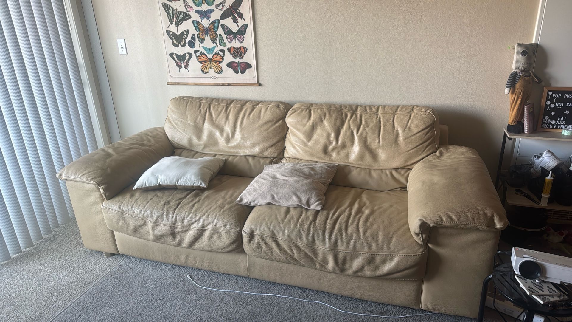 Free Couch