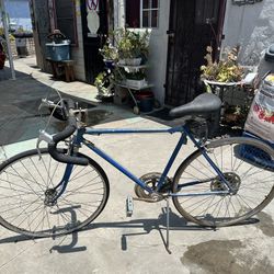 Vintage Schwinn