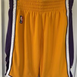 Mitchell& Ness LA Lakers Basketball Shorts. 2009-2010. Size Large