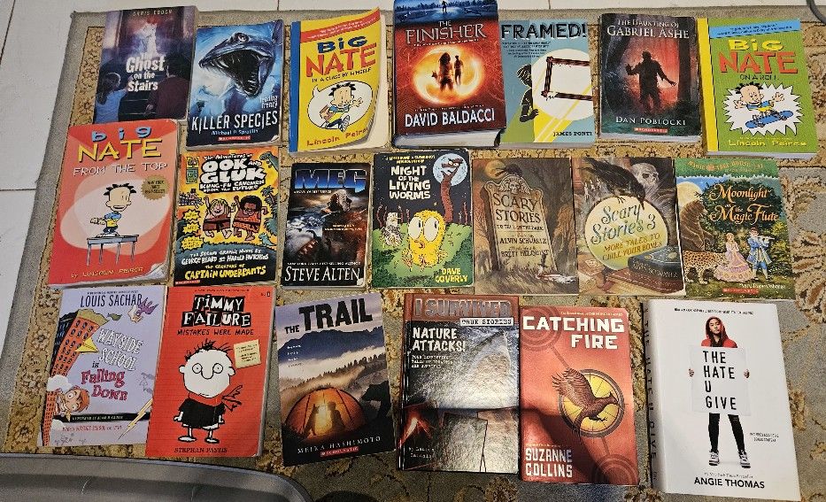 Kid/ Middle School/teen Novels Chapter Books
