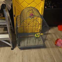 bird cage  