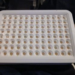 Therapy LED Light Red/Blue