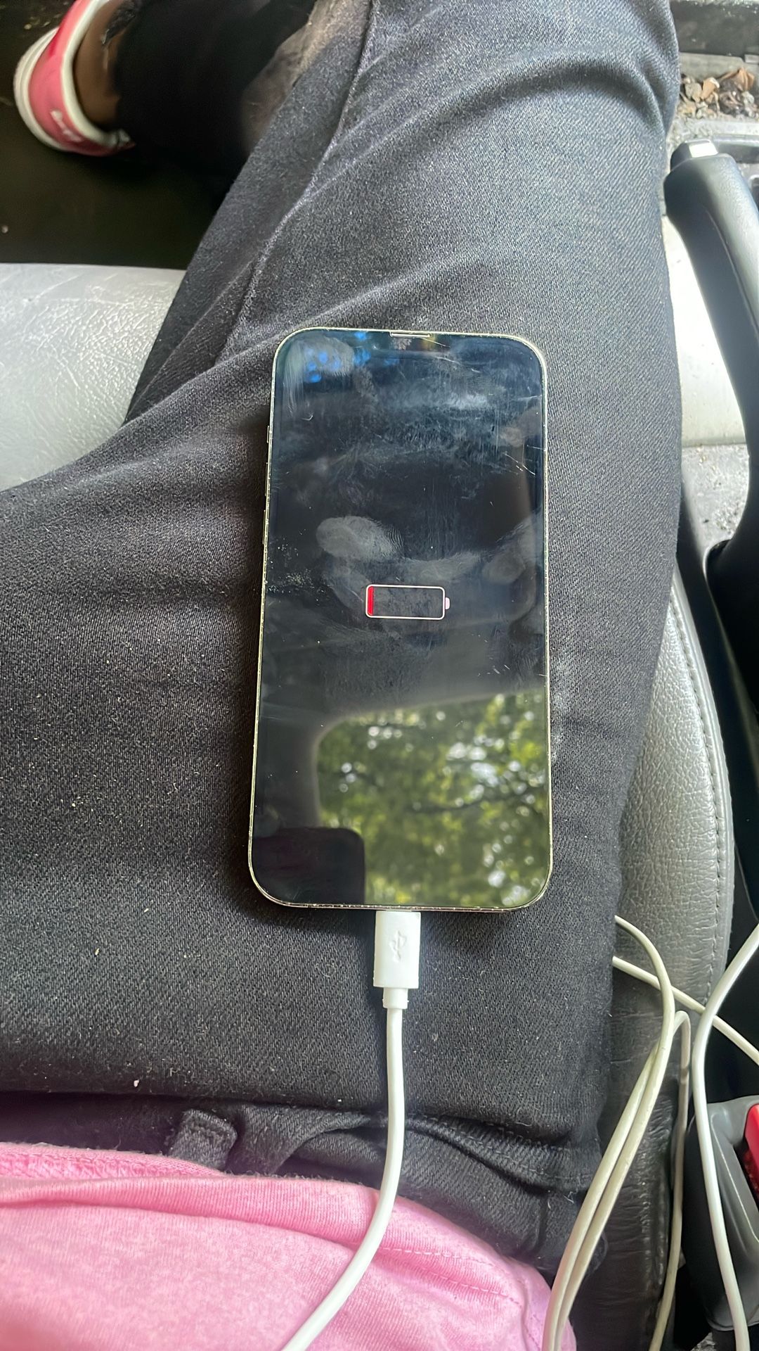 Apple iPhone 13 Pro Max 