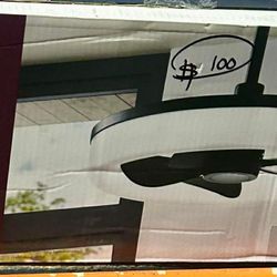 23in Ceiling Fan - Dialstone