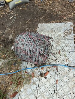 Barb Wire