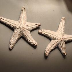 Ceramic Sea star Light Blue, Beige, Brown Wall Decor