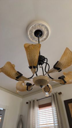 Tulipans chandeliers