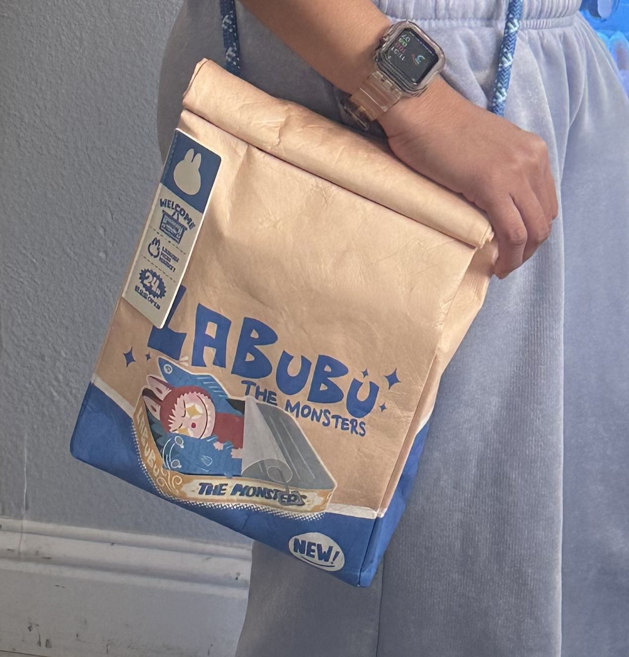 Authentic Labubu Messenger Bag Wacky Series 