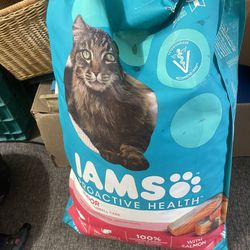 Cat Food IAMS