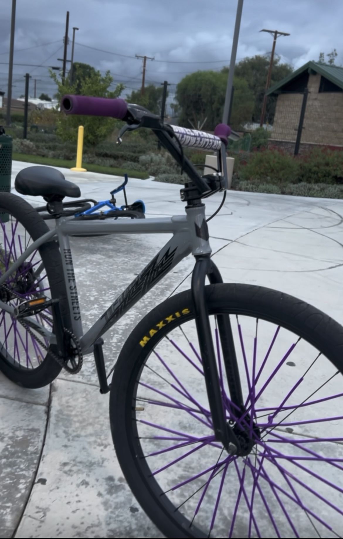 29er Gray Coraline Free Will