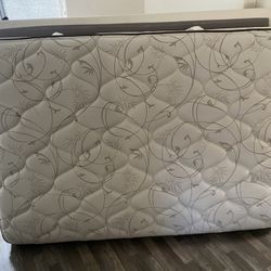 Full Mattress + Box Spring
