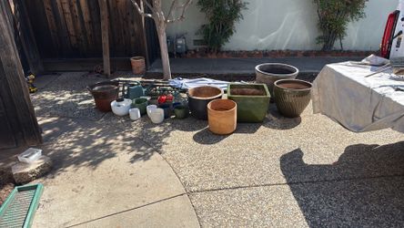 Free plant pots