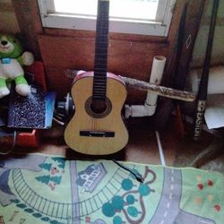 Guitar 