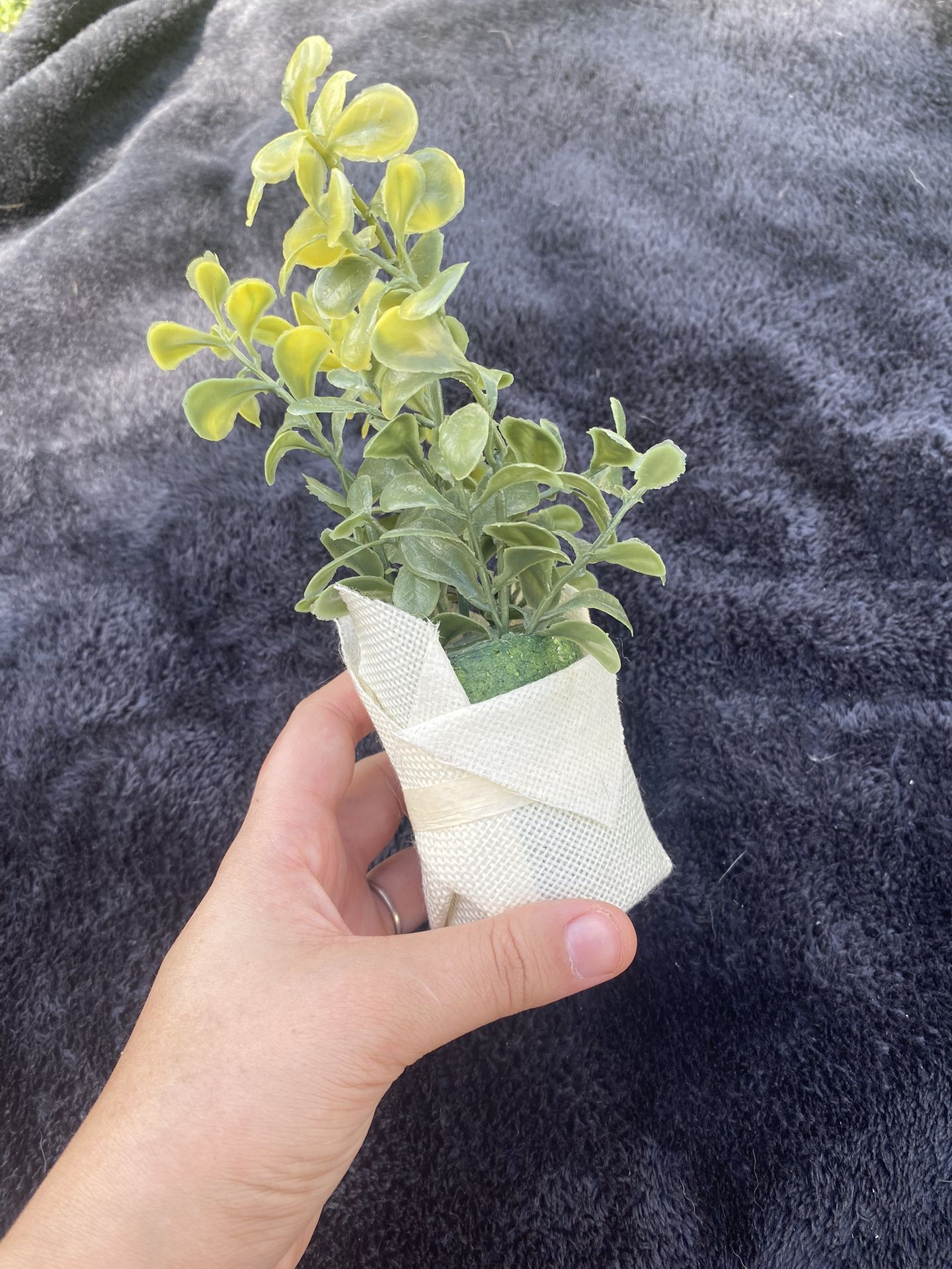 Fake Plant Decor