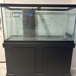 Saltwater Fish Tank
