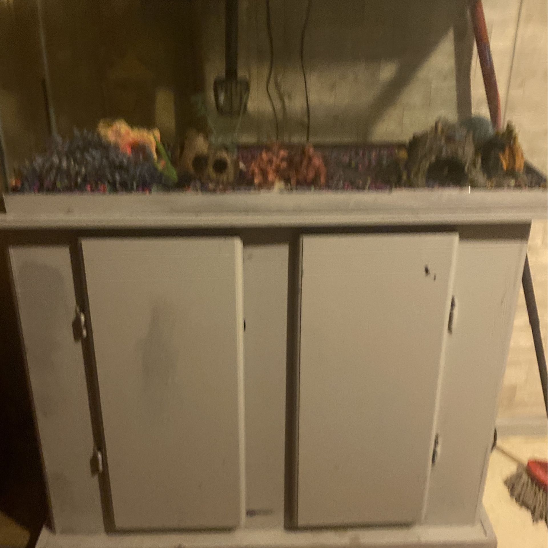 Fish Tank