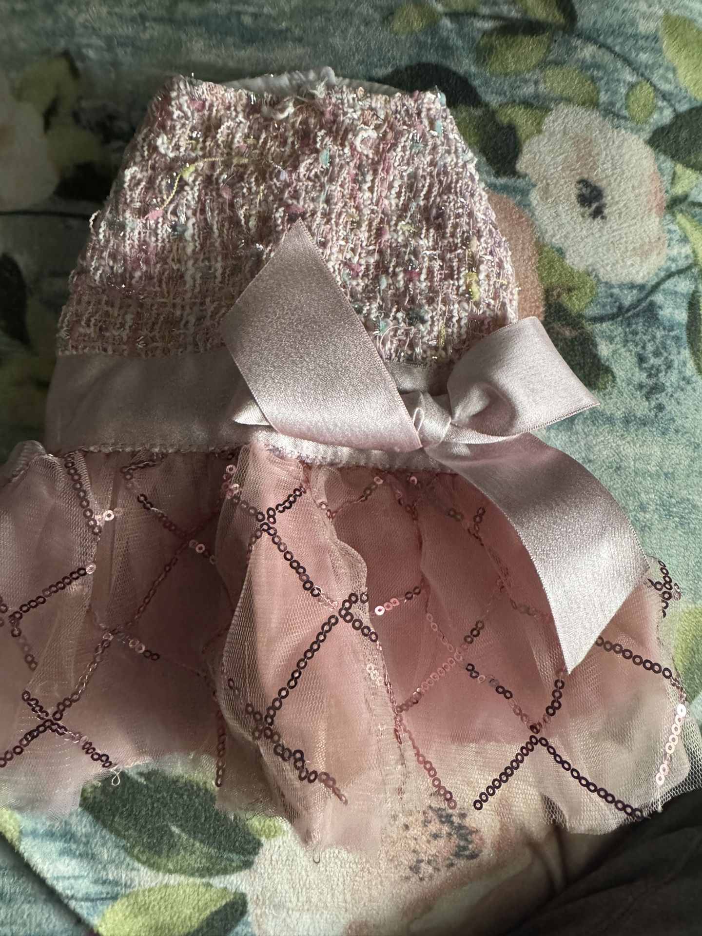 Dog Clothes