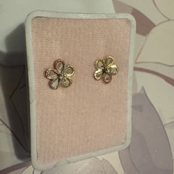 Gold Earrings 10k / Aretes De Oro 10k 