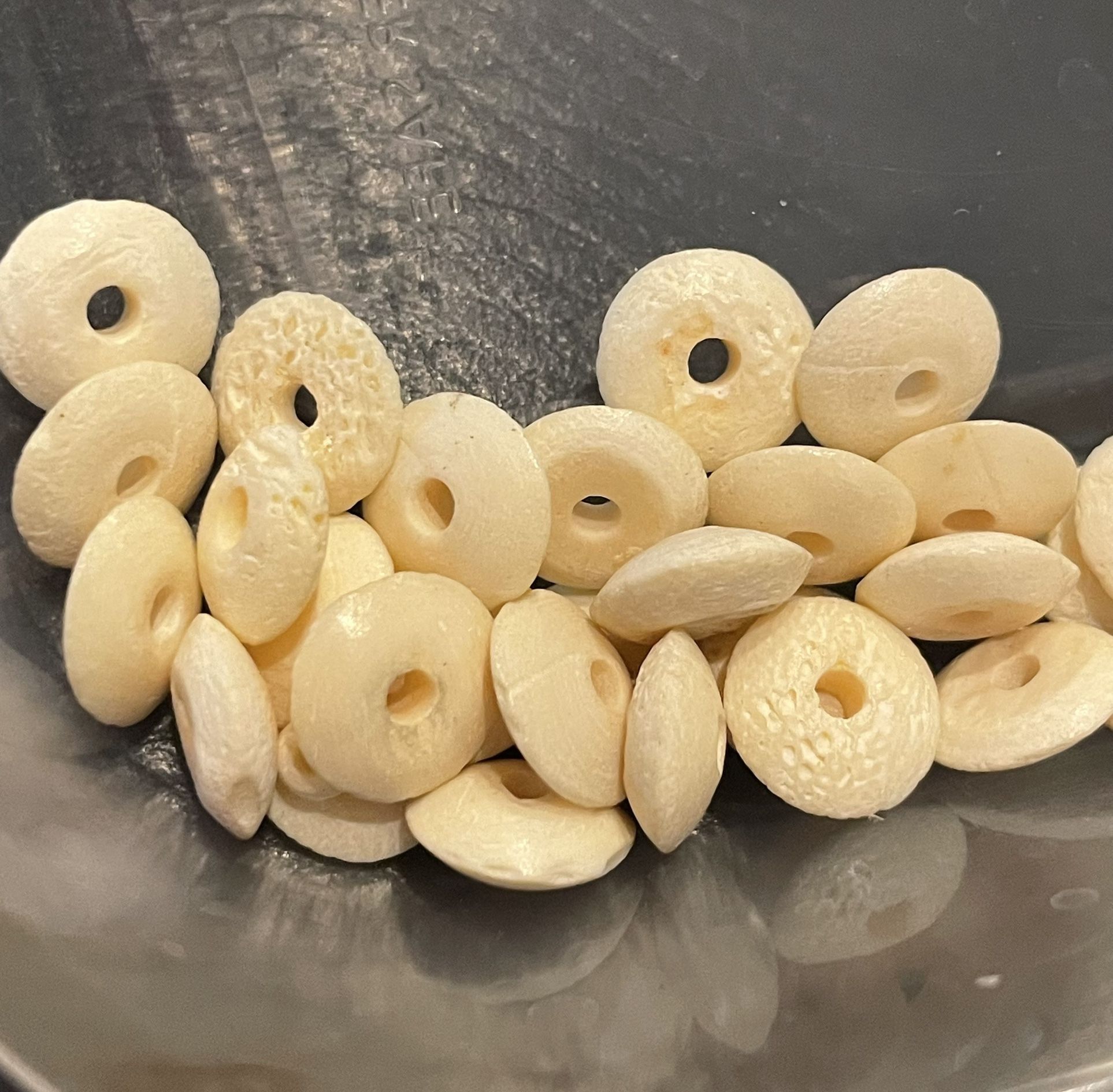 Lot Of 22 Bone Disc Beads