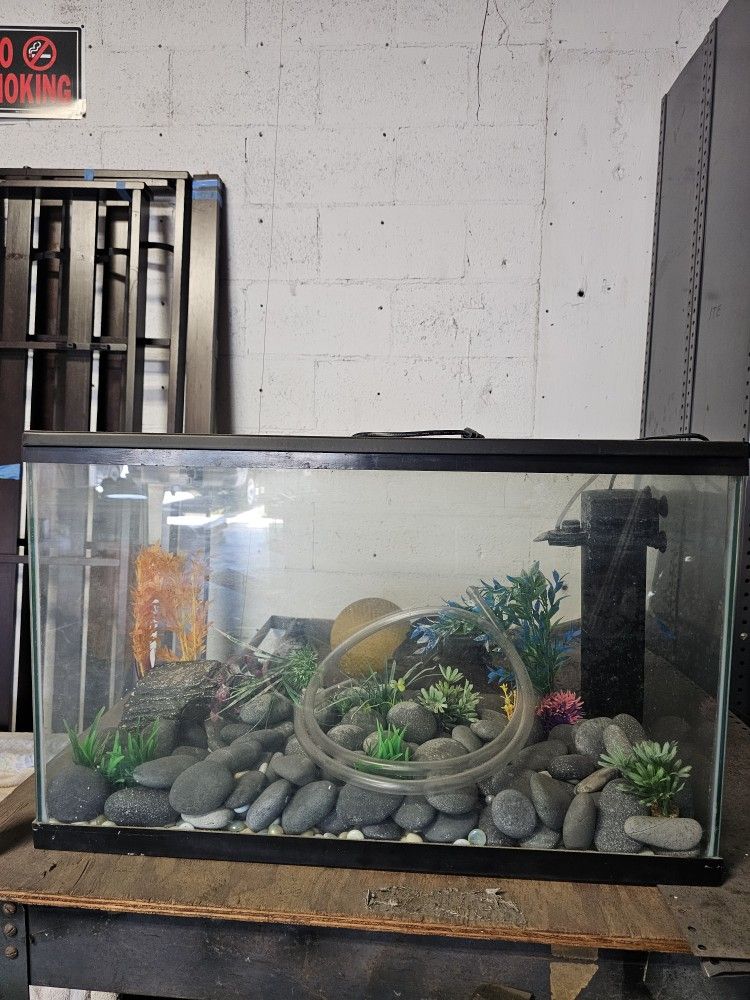 29 Gallon Fish Tank w/accessories