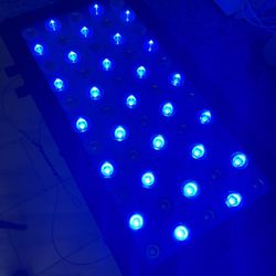 Salt Water Fish tank Light