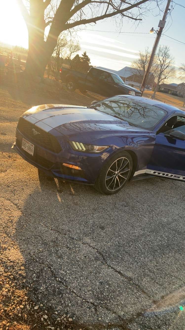 2015 Ford Mustang