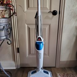 Bissell deluxe steam mop