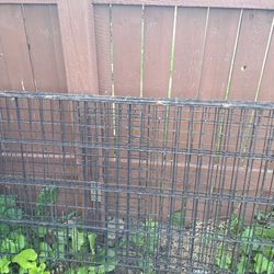 Dog Cage 