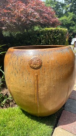 1 pot really nice